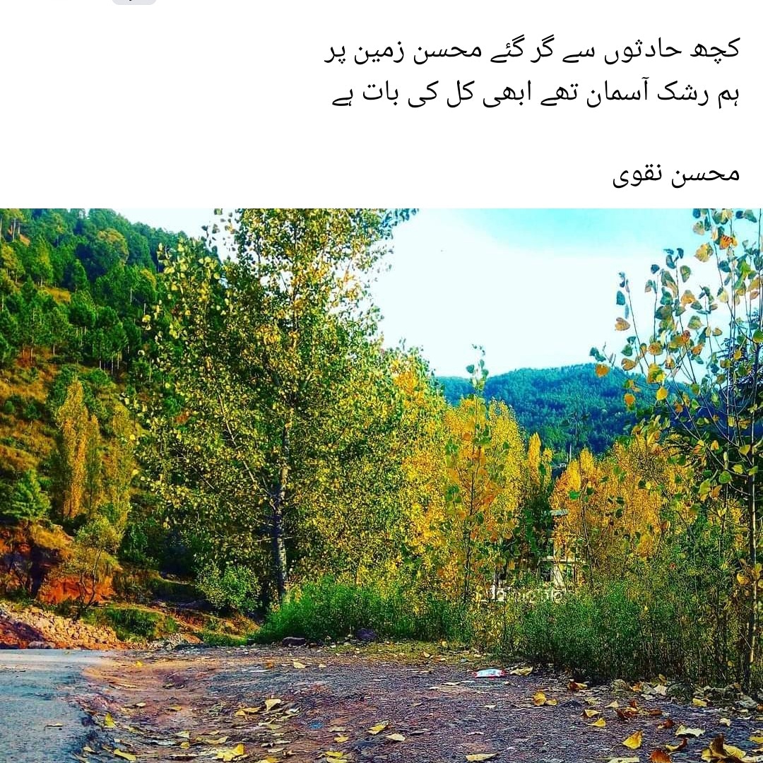 AaleenNaaz's tweet photo. https://t.co/btMHTU125E