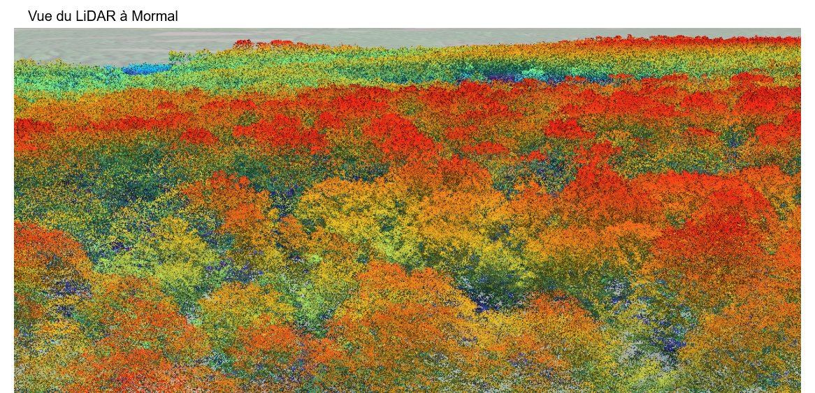 ForMicroclimate's tweet image. Tadaaam! 🥁 We had a dream, and @Emi_Gallet made it real... You can now freely take a walk in the Mormal forest! Go to microclimat.cnrs.fr and zoom in and out infinitely among billions of 3D #LiDAR points! First sample of airborne LiDAR from this summer 2021🛩️  #VirtualForest