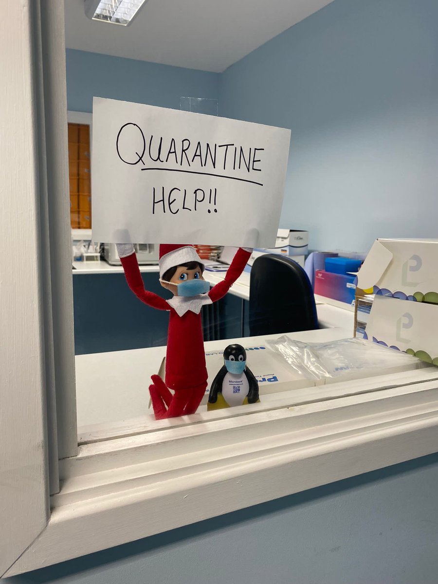 ProLabUK's tweet photo. Just arrived back from the North Pole, waiting on their PCRs @elfontheshelf #elfontheshelf #Microbiology #ProLab https://t.co/mcrcrqKXsN