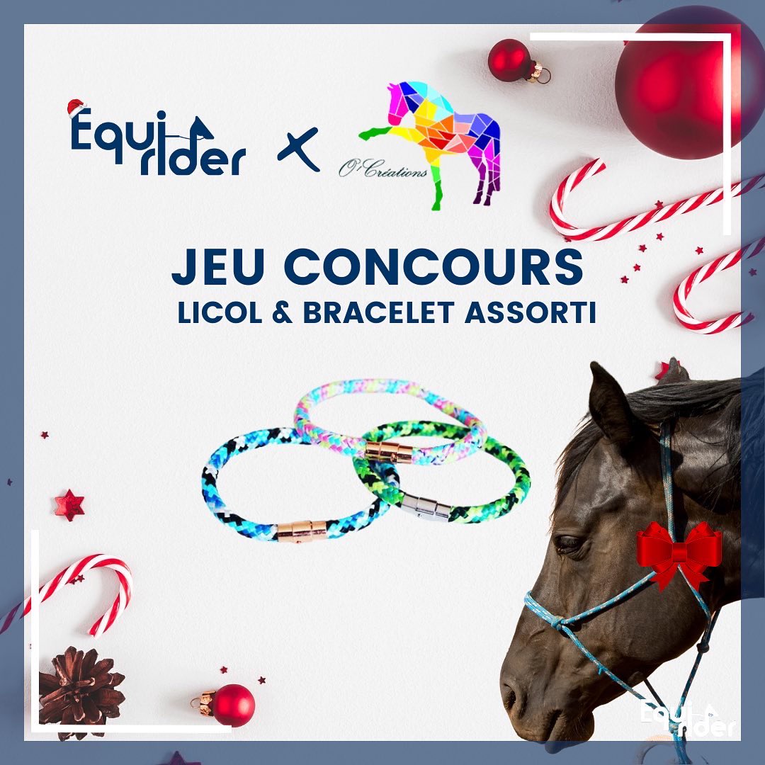 Equirider_'s tweet photo. Calendrier de l’avent J3 🎁
La case numéro 3 a été dévoilée ce matin ⭐️
À gagner sur Instagram un #licol et son bracelet assorti O’Créations 😍
#CalendrierDeLavent #noel #JeuConcours #Giveaway #horse #horseriding #équitation https://t.co/WE48mnmacB