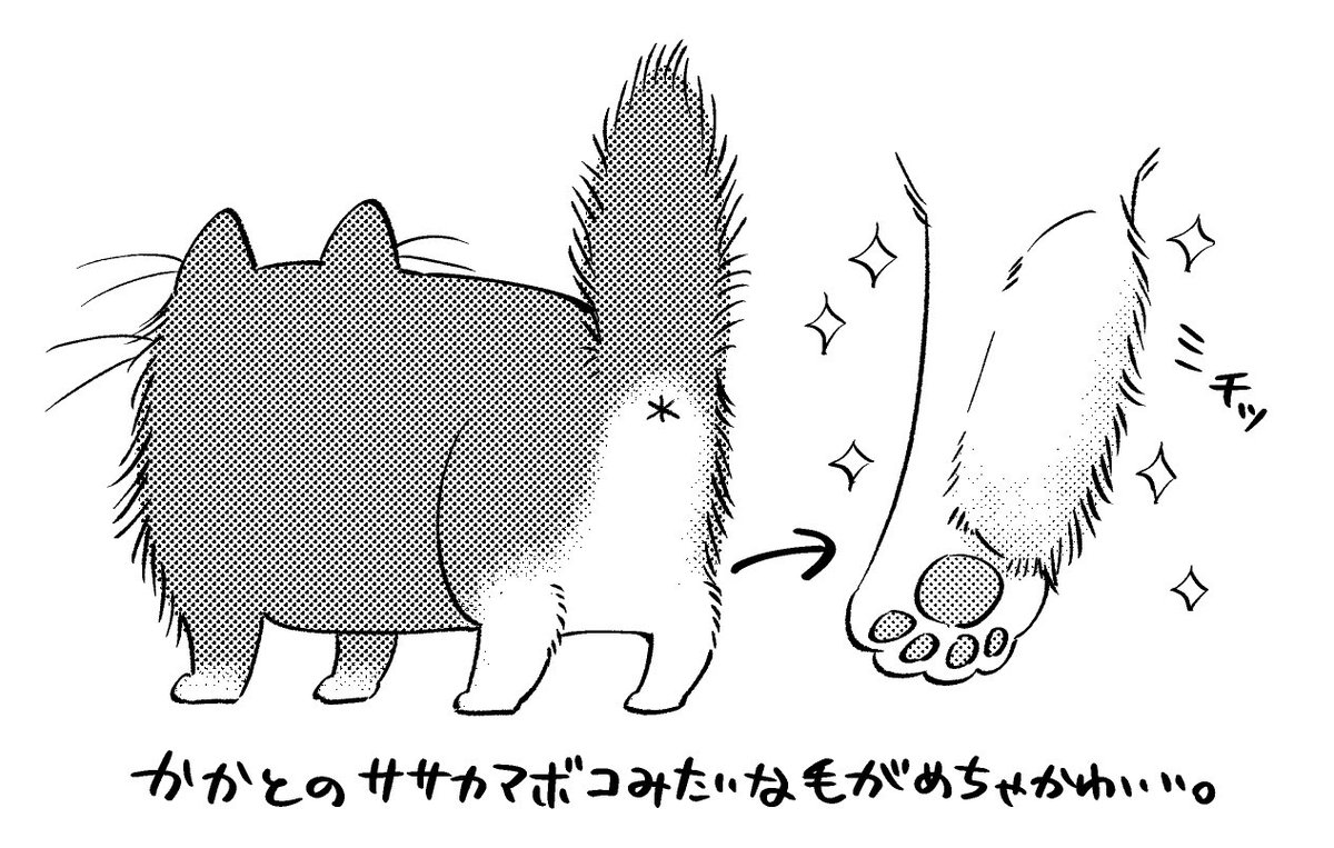 ネコノココスキ 