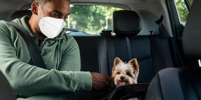 MobilizujemeCZ's tweet photo. Do taxíku i s domácím mazlíčkem! Uber představuje novou službu Pet 🚕 🐶 🐱
https://t.co/at1C6dYo1E
#Uber #UberPets #taxi #aplikace @Uber https://t.co/eVcI2KSPcx