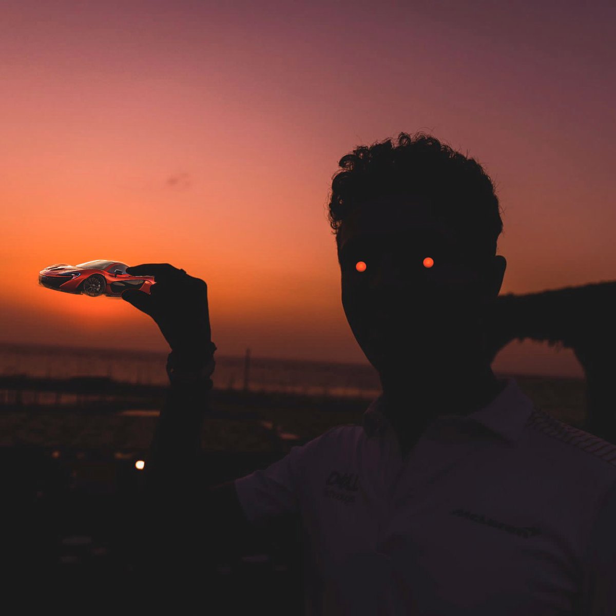 Domestic Technology tweet media