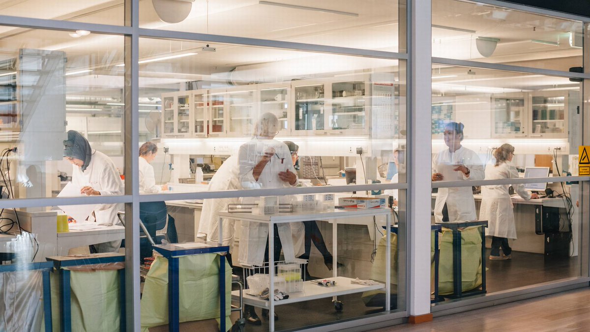 A.P. Moller Holding set to acquire Unilabs buff.ly/3xMlQww
