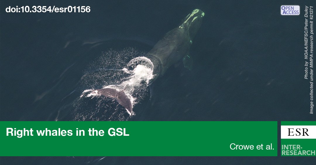 Endangered Species Research tweet media