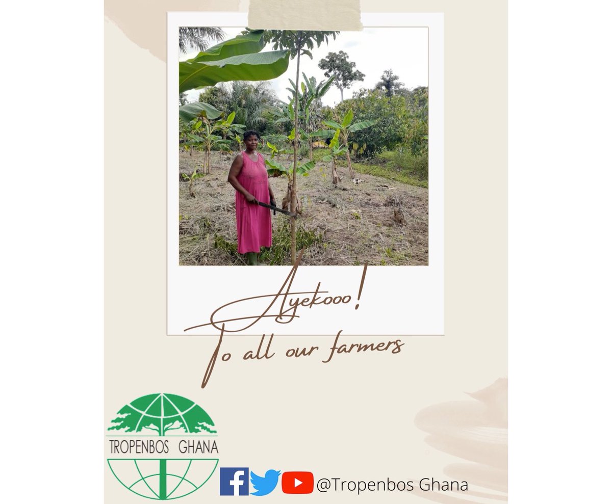 Everyday, at least, three times a day, we need a farmer. 

Your hard work feeds millions of homes and contributes immensely towards the growth of our economy. 

Tropenbos Ghana wishes all farmers a Happy Farmer’s Day.