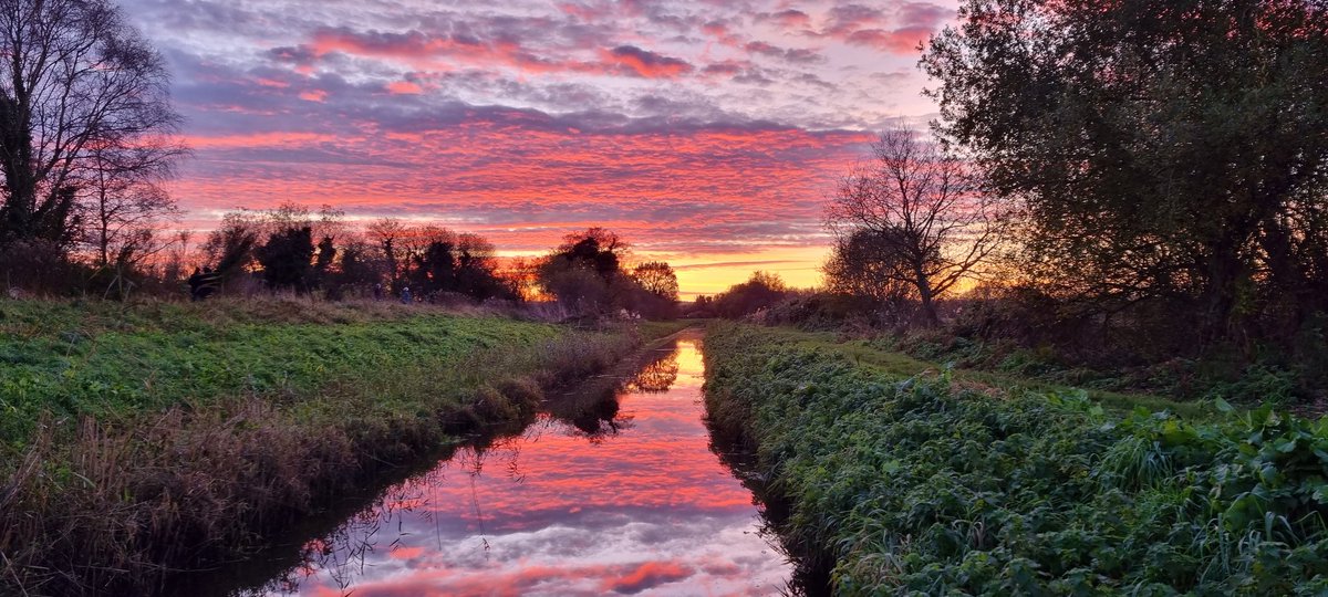 ianmarrey's tweet photo. @RSPBHamWall Went to see the starlings but was also treated to this... https://t.co/o3WHdpC0Ca