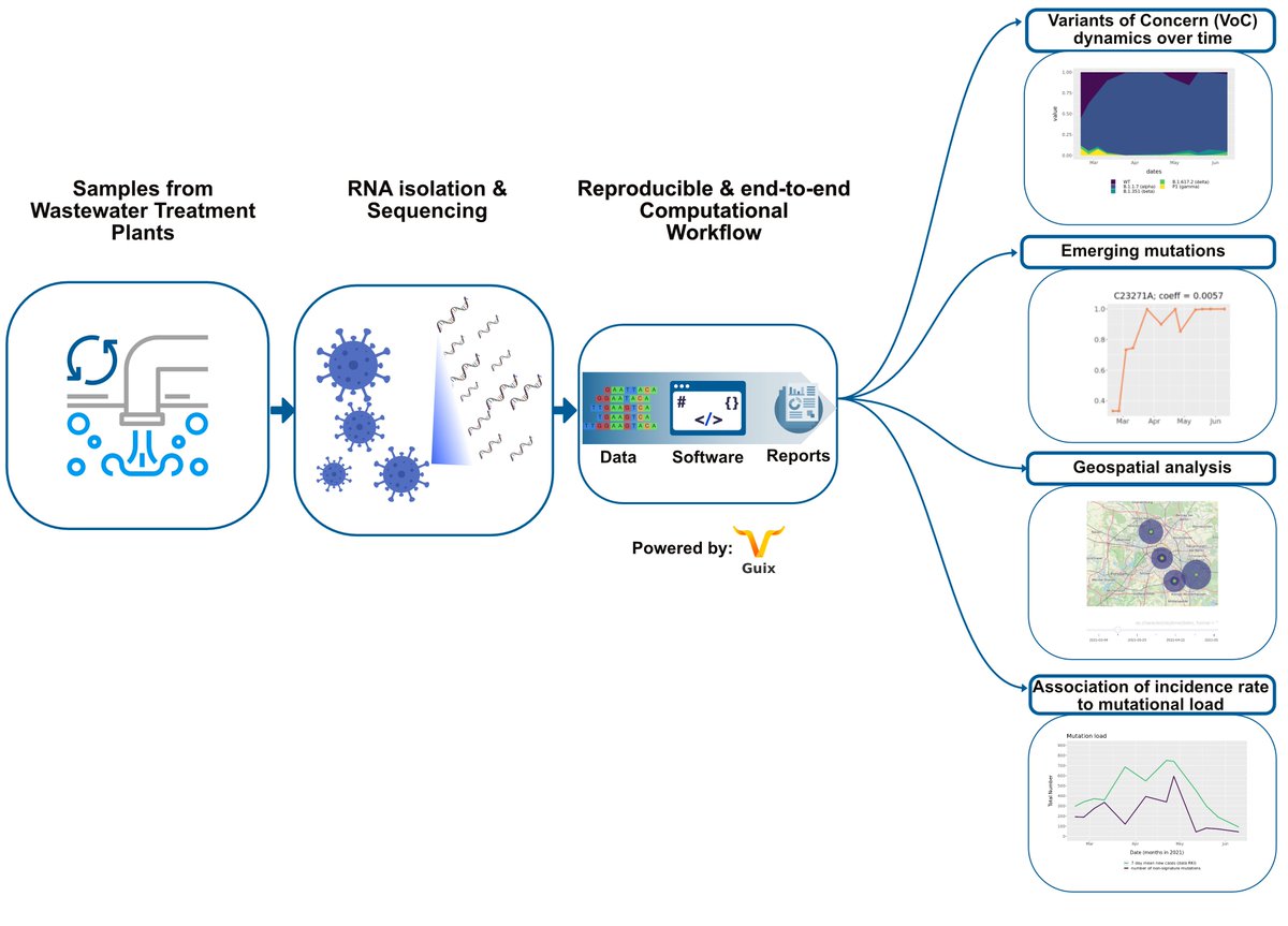 Altuna Akalin (@altunaakalin) on Twitter photo check out our latest pre-print: #COVID19 #infection dynamics revealed by #SARSCoV2 wastewater sequencing analysis & deconvolution
medrxiv.org/content/10.110…
teamwork by: <a href="/VicFabienne/">Vic-Fabienne Wendt</a> <a href="/rafaelcuadrat/">Rafael Cuadrat</a> <a href="/ewyler/">Emanuel Wyler</a> @landthaler_m <a href="/N_Rajewsky/">Nikolaus Rajewsky</a> <a href="/wasserbetriebe/">Wasserbetriebe</a> <a href="/BIMSB_MDC/">MDC-BIMSB</a> <a href="/MDC_Berlin/">Max Delbrück Center</a> +many othrs check out our latest pre-print: #COVID19 #infection dynamics revealed by #SARSCoV2 wastewater sequencing analysis & deconvolution
medrxiv.org/content/10.110…
teamwork by: <a href="/VicFabienne/">Vic-Fabienne Wendt</a> <a href="/rafaelcuadrat/">Rafael Cuadrat</a> <a href="/ewyler/">Emanuel Wyler</a> @landthaler_m <a href="/N_Rajewsky/">Nikolaus Rajewsky</a> <a href="/wasserbetriebe/">Wasserbetriebe</a> <a href="/BIMSB_MDC/">MDC-BIMSB</a> <a href="/MDC_Berlin/">Max Delbrück Center</a> +many othrs