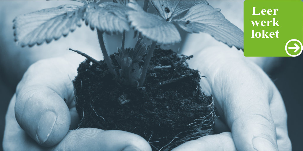 ‘Leren, hoe zo?’
In deze drieluik is ook aandacht voor de werkgevers.

Het Leerwerkloket helpt en adviseert werkgevers op het gebied van leren en werken vanuit de visie Leven Lang Ontwikkelen. 

Benieuwd naar wat we voor uw onderneming kunnen betekenen?

leerwerkloket.nl/leerwerklokett…