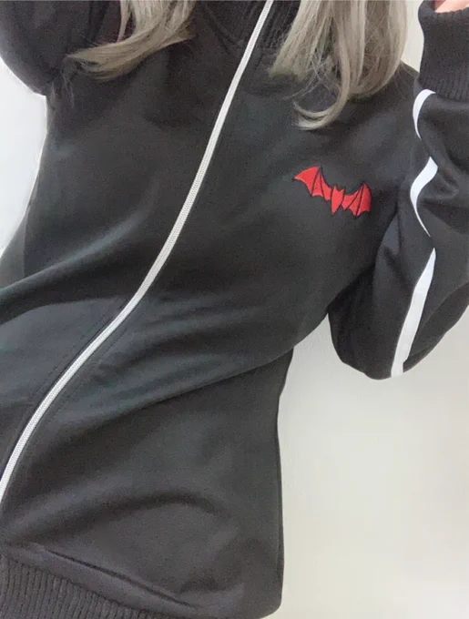 届きました🎲  めちゃんこ、いい 