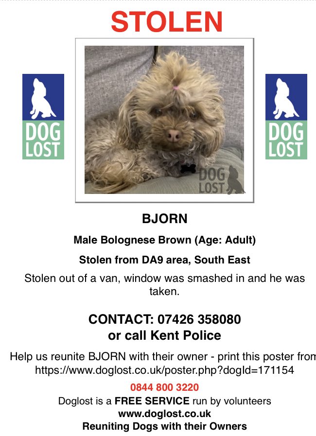 @mrsfuzzymuzzy @DogFinder @DogslostUK @MissingPetsGB PLS RT TO HELP FIND #StolenDog BJORN #DogTheft #FindBjorn #DogsofTwittter #PetTheftReform doglost.co.uk/dog-blog.php?d…