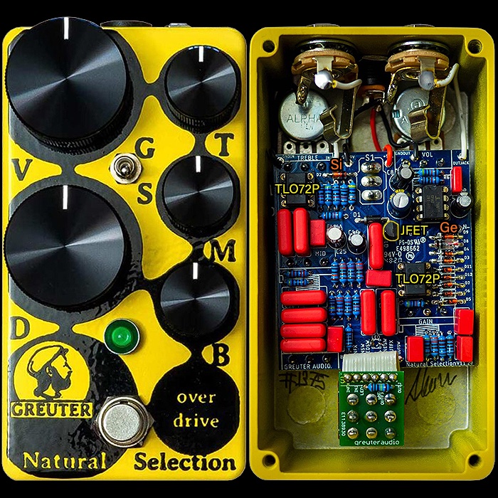 x_pedal's tweet photo. Sacha Greuter's New Natural Selection Organic Overdrive Sounds as Good as it Looks - https://t.co/c8ZHTHp393 #greuteraudio #greuteraudionaturalselection #naturalselectionorganicoverdrvive #overdrivepedal #transparentoverdrive #guitarpedalx https://t.co/t4Fiaovyba