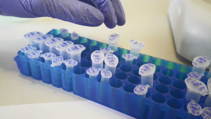 Foto cedida por Ministerio de Sanidad