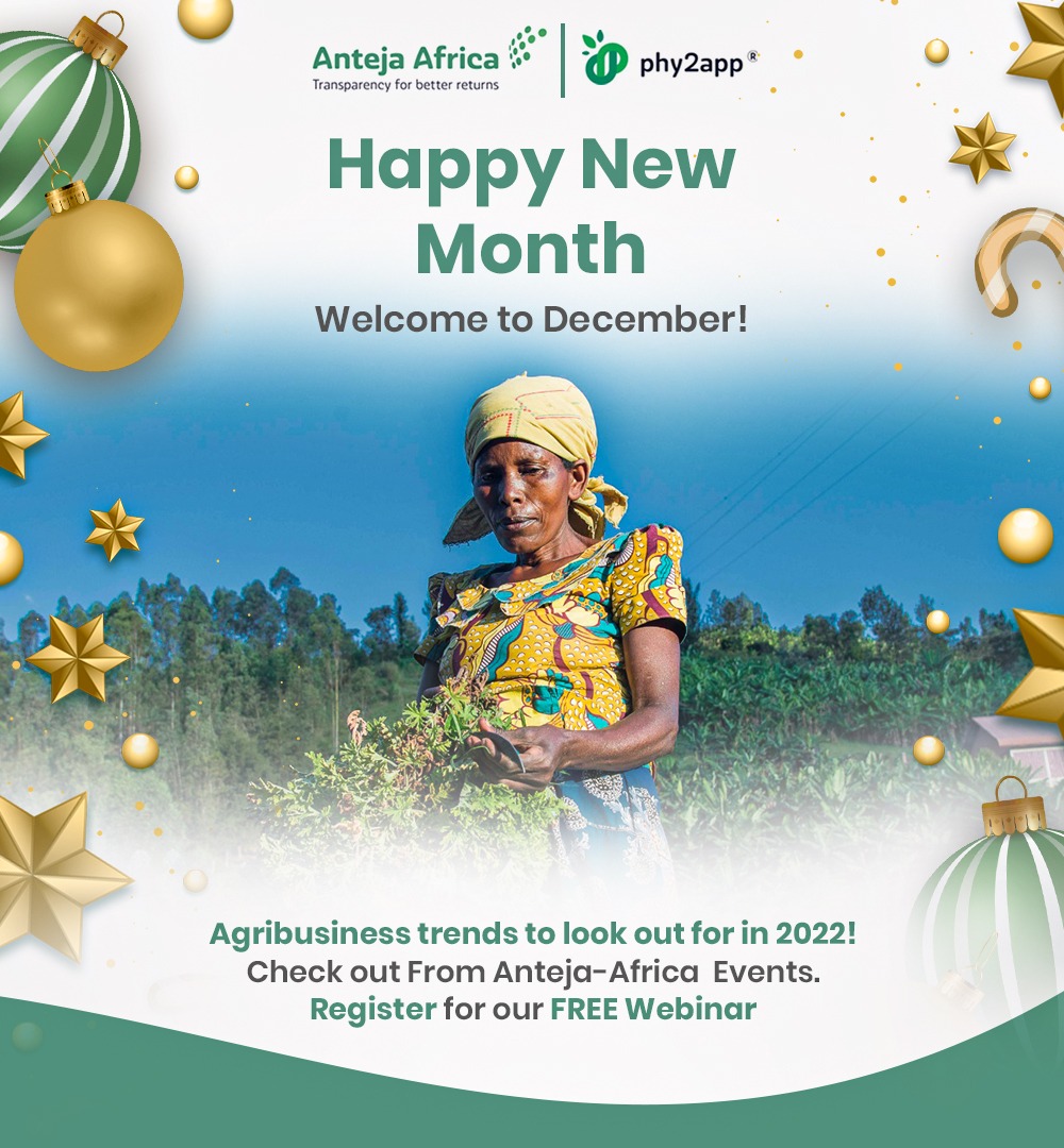 Anteja_Africa's tweet photo. The holidays are finally here, Anteja Africa is wishing you a happy new month!
Learn and Grow with us as we bring to you trends that could shape your Agribusiness!
#agribusiness #africa #phy2app #agriculture #agritech https://t.co/fOHTsv6XL8