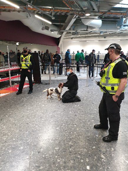 PSOSbpc's tweet photo. More images from @polscotdogs deployment @EDI_Airport last week.
#ProjectServator is a UK-wide policing tactic, using highly visible, unpredictable deployments to reassure the public and spot signs of criminal behaviour.  
#PDPoppy #Safety #Security #Aviation
👮✈️🐶 https://t.co/38Ky3cExvp