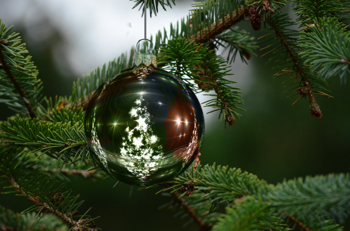 HaemoSocUK's tweet photo. Will you join our Christmas carol service this year? We have a limited number of tickets available for those of you who've missed seeing other members of our community. 
https://t.co/HsJfVmAyjU
#Haemophilia #Christmas #ChristmasCarol #cheer #community https://t.co/xbzrjv1dSd