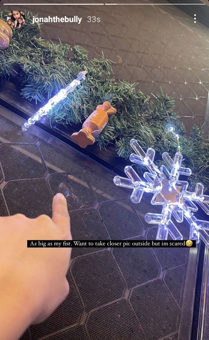 ate j and the giant salagubangbells reminds me of andra 😭