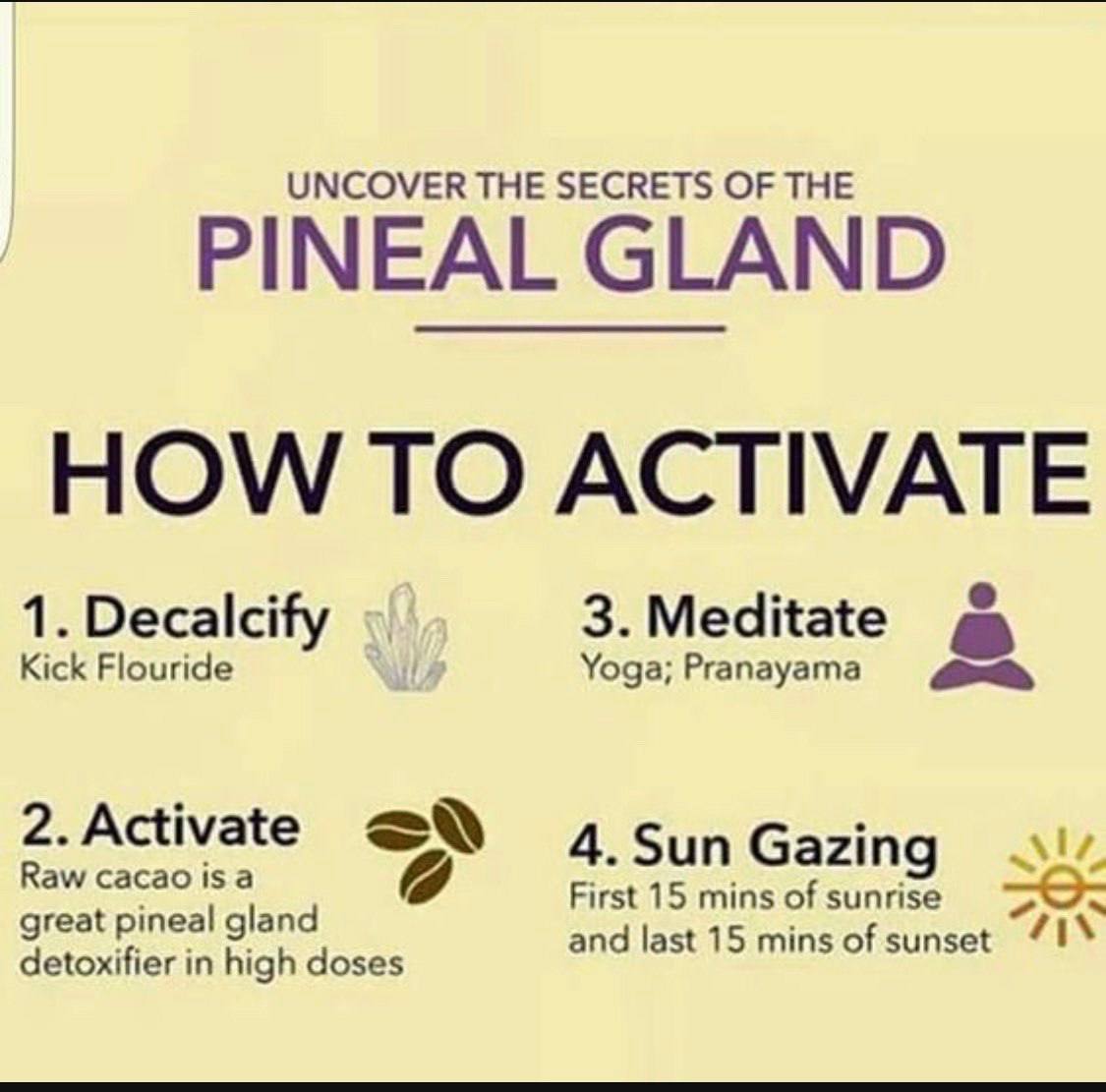 Nikkikalki7's tweet photo. UNDER COVER SECRETS OF THE
PINEAL GLAND ...HOW TO ACTIVATE
#activate #meditate
#decalcify #sungazing https://t.co/bw691opFeb