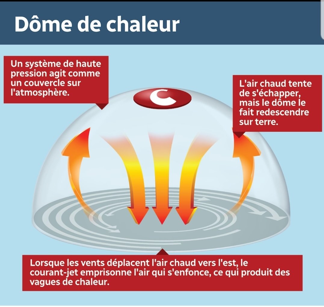 Proposition au Conseil National de l'Eau que <a href="/LaFiliereDelEau/">La Filière Française de l'Eau - Confédération FFE</a> et ses membres organisent avec le <a href="/Ecologie_Gouv/">Min. Ecologie Territoire Transports Ville Logement</a> un "serious game" pour les acteurs de l'#eau pourbtester le résilience de la 🇨🇵
🔥🌡💧"Dôme de chaleur 2022 sur la France"
bfmtv.com/meteo/climat-l…
👇