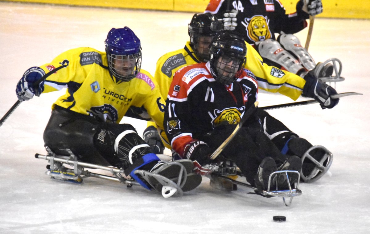 Ice hockey for everyone! <a href="/rbihf/">RBIHF</a> @worldparaicehockey <a href="/teambelgium/">Team Belgium</a> <a href="/IIHFHockey/">IIHF</a> 
#InternationalDayOfPeopleWithDisability