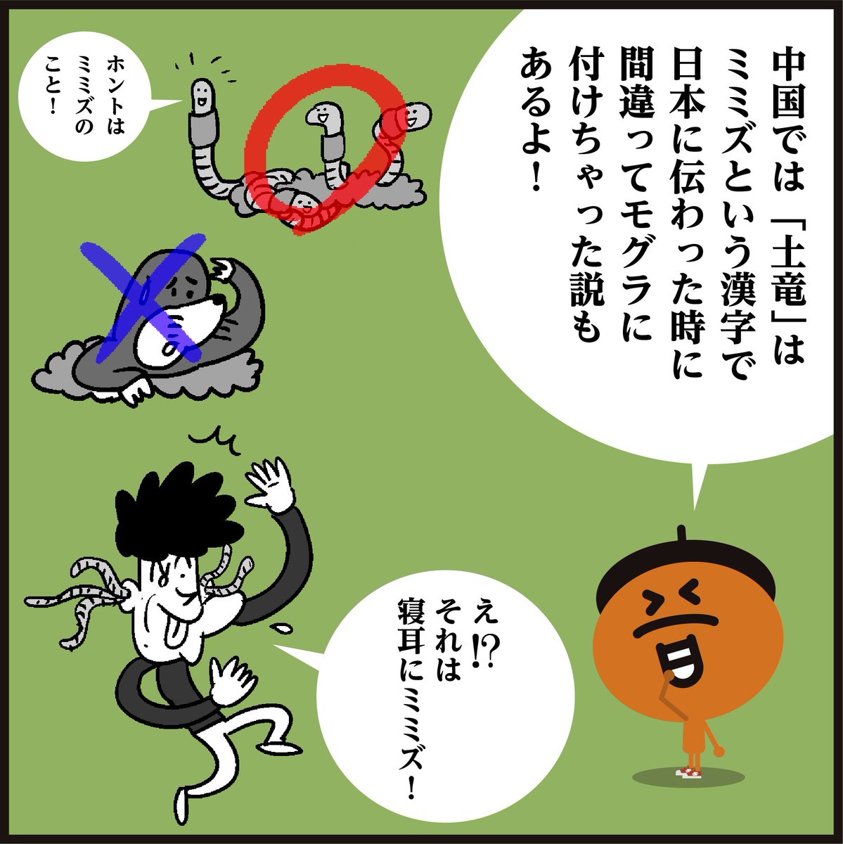漢字【土竜】読めましたか-?🐉竜とは程遠いですよねー‥
#イラスト #4コマ漫画 #クイズ 