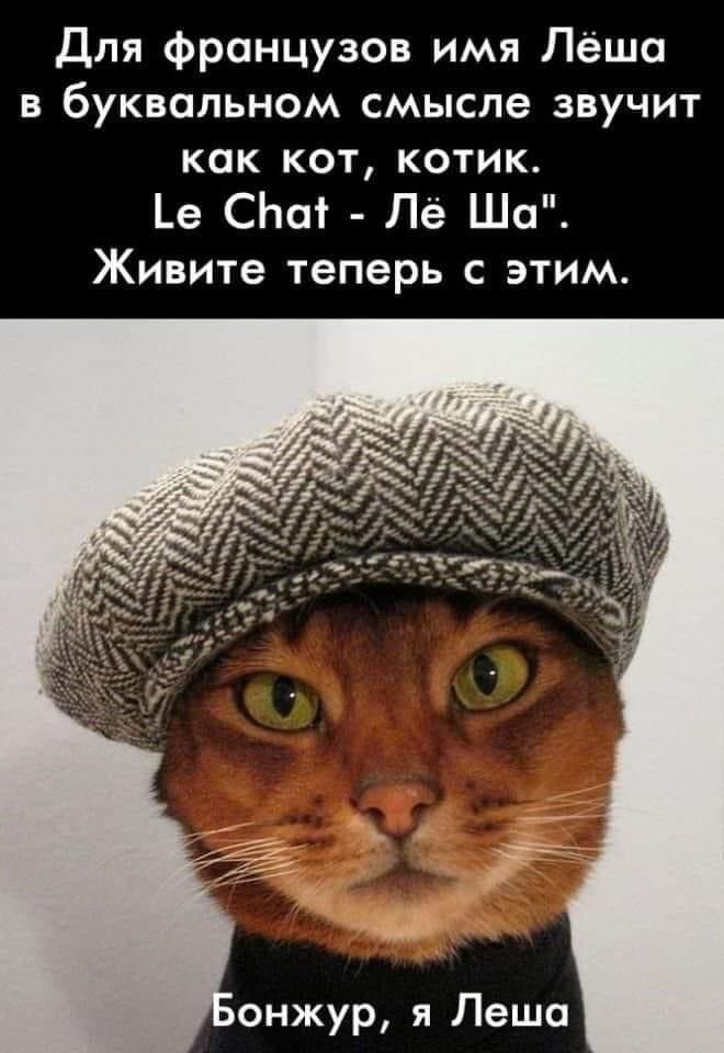 Клички леши. Именные кубики для дня рождения. Клички леши. Леша надпись. Стилизация имени лёха.