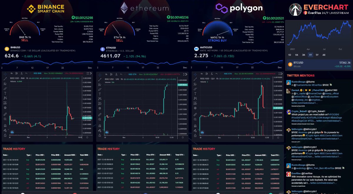 bingo_smalls's tweet image. #EverRiseV2 across 3 blockchains!! #RISE #EverChart