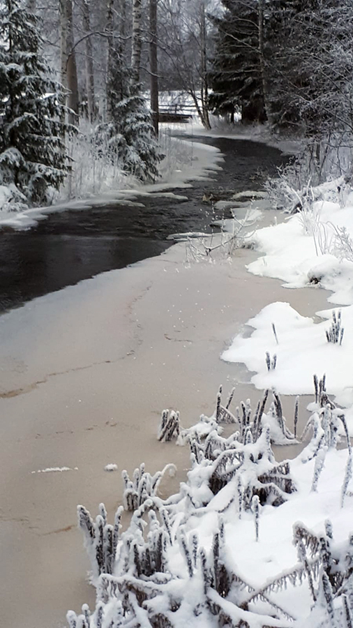 tulvatpohjanmaa's tweet photo. Koskissa #hyyde on paikoin nostanut jokien pintoja. Tilannetta on pyritty helpottamaan pienentämällä juoksutuksia. Nämä kuvat #Lapuanjoki #Lankilankoski #Tampparinkoski ja #Nurmonjoki #Kuorasluoma #talvitulva #pakkanen #ELYkeskus https://t.co/bL7cCan9jr