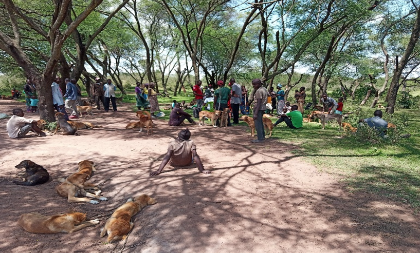 AfriqueOneREACH's tweet photo. ''The #CPE  demonstrates that communities to participate in planning and execution of Mass Dog Vaccination campaigns: by contributing simple logistics, performing simple activities (hence reducing cost), and potentially improved participation''@duamort 
#OneHealth 
#AOASPIRE2021 https://t.co/rqF3dbKDz0
