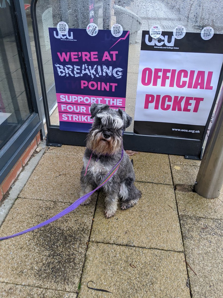 Day 3 #dogsonpicketlines #fourpawsfourfights #UCUstrikesback #UCUstrike #UCUstrikes @UM_UCU