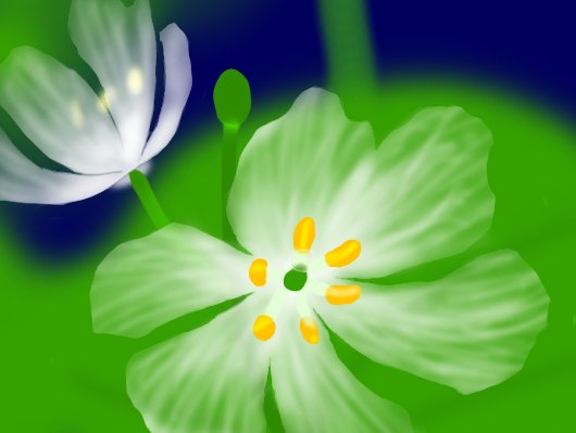 サンカヨウの花 Twitter Search Twitter サンカヨウの花 Twitter Search Twitter