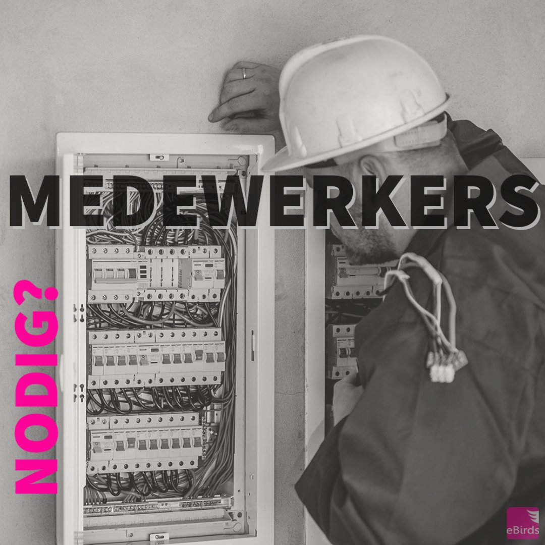 eBirdss's tweet image. Een content trend van 2022 is om meer te focussen op je bedrijf als wergever. Heb je een vacature voor een bepaalde functie, neem deze mee in je content, en laat je medewerkers hierover vertellen.  Inspiratie nodig voor content? Neem dan contact met ons op. #Socialmedia #trend