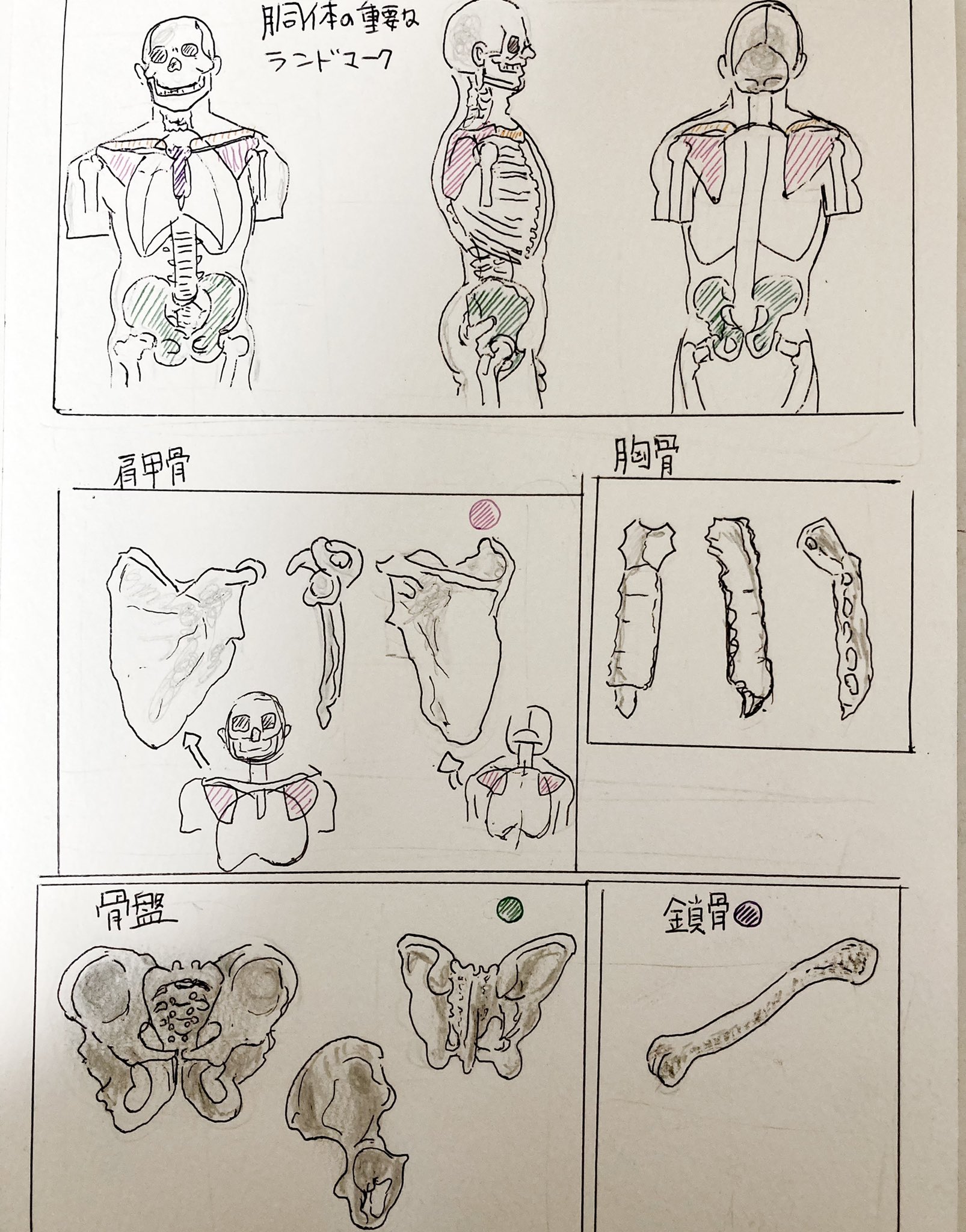 ちょこもる على X: 