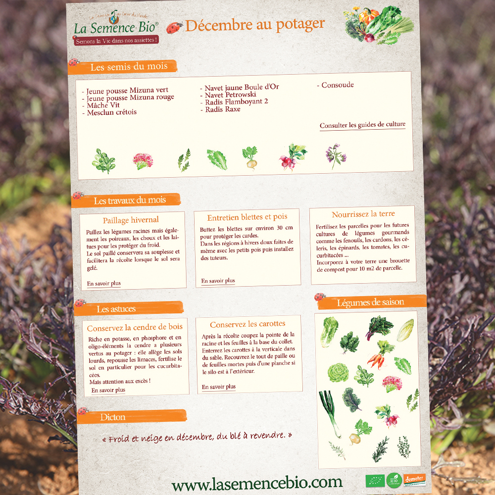 La Semence Bio tweet media