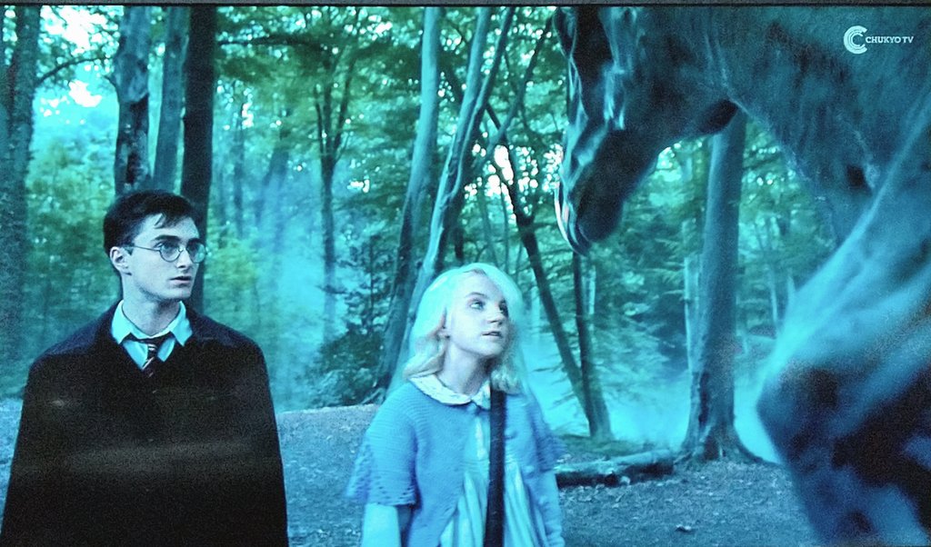 ハリーポッターのルーナは死んでいた その根拠と真相を徹底調査 K Journal