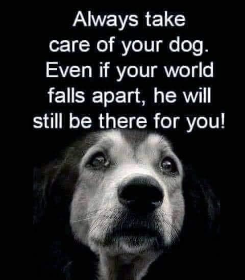 popslow69's tweet photo. Amen.. https://t.co/znJAebKVMF