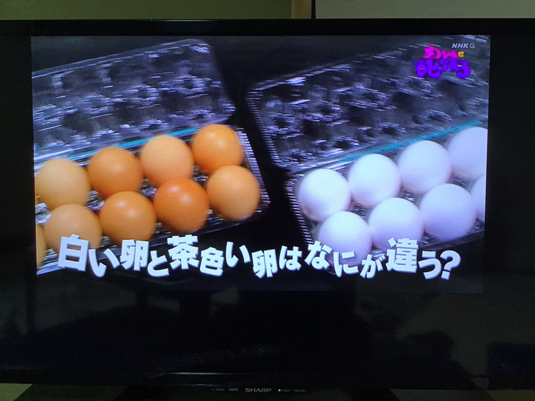 緑青 Nmlh愛知 楽しかった 白い卵と茶色い卵の 違いは 卵を産む鶏の種類の違い いやそりゃそうだろうけど チコちゃんに叱られる T Co Mcpj4prxnf Twitter