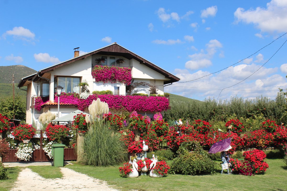 <a href="/jenny_travels/">Uncharted Traveling</a> @travelingmkter <a href="/Adventuringgal/">Cynthia | Adventuring Woman</a> <a href="/AOAOxymoron/">Adventures of an Oxymoron</a> <a href="/kmf116/">Karen Mellott-Foshier</a> @OfficialBoarder <a href="/sl2016_sl/">Seema</a> <a href="/BackpackingTony/">Oh That Tony🫐. A Beaver 🦫 Abroad. 🇨🇦🇺🇦</a> @HarryWatson63 <a href="/jasontravelblog/">Jason Likes To Travel</a> <a href="/LoriMoreno/">#InfluencerMarketing Host</a> <a href="/LindaPeters64/">Linda</a> <a href="/TimeTraveler911/">Geri Linda Metterle</a> @OdetteDunn <a href="/JourneyHeroApp/">JourneyHero</a> <a href="/leo_tuxedo/">King Leo The Tux</a> @Chalkcheese111 <a href="/TravelAtWill/">LDH</a> <a href="/beckyexploring/">Becky Exploring</a> <a href="/tangoandrakija/">Tango & Rakija | Food &Travel Blog 📸</a> <a href="/suziday123/">Suzi Day</a> <a href="/perthtravelers/">Perthtravelers (Wendy)</a> <a href="/lizzie_hubbard2/">Lizzie Hubbard</a> <a href="/LiveaMemory/">Live a Memory</a> <a href="/leisurelambie/">Alecia | Leisure Lambie</a> <a href="/FitLifeTravel/">Fit🌞Life🌞Travel</a> <a href="/AlisonAndalucia/">Alison</a> <a href="/CharlesMcCool/">Charles McCool ✈️</a> <a href="/SuchetaDoshiMD/">Sucheta Doshi, MD MPH FAAFP FACPM</a> <a href="/tthrash/">Tom Thrash</a> <a href="/BeyondTheMiles1/">Beyond The Miles Travel</a> @MandMsTravels <a href="/Abfabtravels/">AbFabTravels</a> <a href="/MamaO_GO/">Mama O</a> <a href="/smtownplussize/">Tom and Kristi Manus</a> <a href="/carpediemeire/">John @CarpeDiemEire</a> <a href="/RoadtripC/">Roadtrip Couple</a> Bring it on!
It's #FlashbackFridayz #Picturesque theme
Tagging in Tweet mates
<a href="/JeanetteJoy/">Jeanette JOY☮️</a> @balancedDonna <a href="/meanderingmyway/">Linda K 🇨🇦</a>
<a href="/nikstar942/">Love&Quotes</a> <a href="/HassaneTraveler/">Hassane Traveler 𓂆</a> @nisahnet
<a href="/TravelMonk2/">TM2🐒 🛫🚊🚗</a> <a href="/maycausewanderl/">May Cause Wanderlust</a> @ibeantravelling
@mandalatraveler <a href="/BerkeleySqB/">Ellie & Stefan 👫| Berkeley Square Barbarian</a> 
<a href="/inAfricaNBeyond/">Sara Essop</a> <a href="/Dawnistraveling/">Passport Renewed 🇺🇸 ✈️</a>