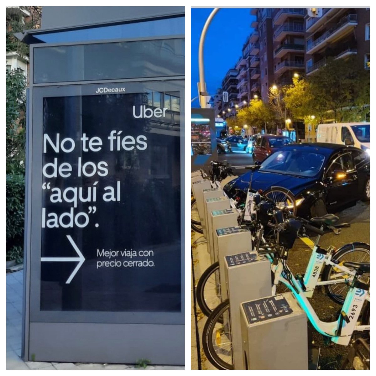 tiburon~tiburon tweet media