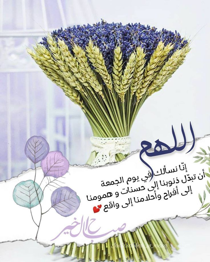 اللهم انزل علينا لطفك أينما ذهبنا ، ويسر لنا الخير كلما طلبنا ، وارزقنا من حيث لا نحتسب ، وهب لنا دوام النعمة ، وشمول الرحمة ، وسعة العيش ، ودوام العافية ، واجعلنا من عبادك المتقين الابرار
آمين يارب العالمين