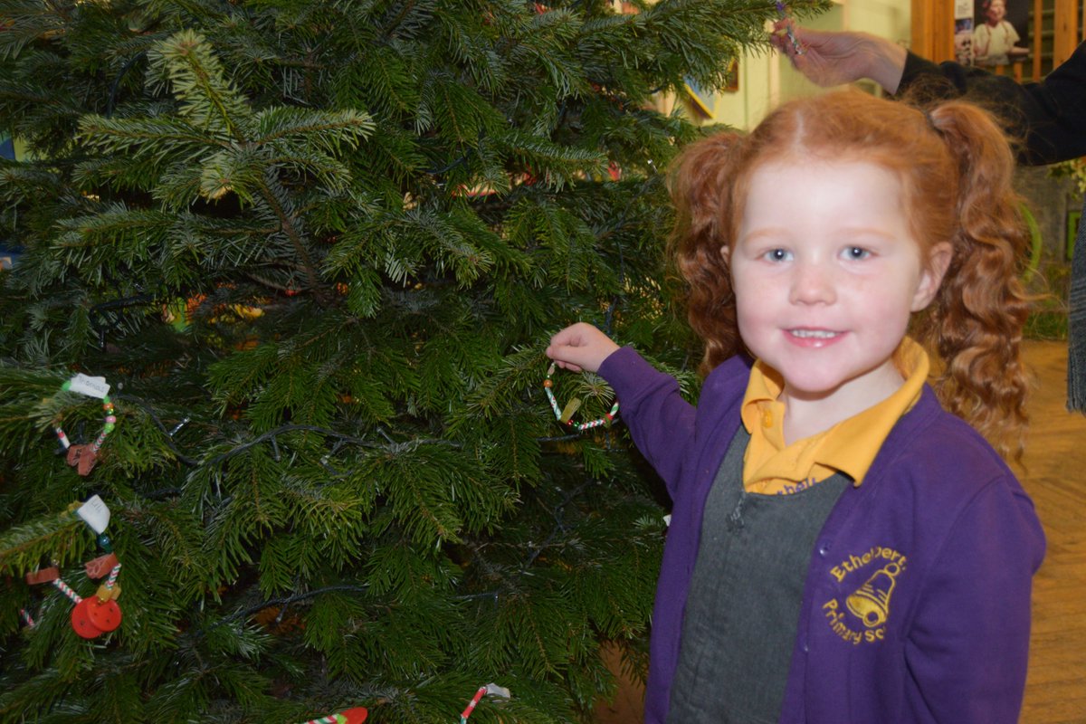 ethelbertrd's tweet photo. This morning we held our Christmas tree assembly and our children added their own hand made decoration to our beautiful tree, kindly donated by Quality Christmas Trees. #itsthemostwonderfultimeoftheyear  🎄 https://t.co/cABWmAK4BT
