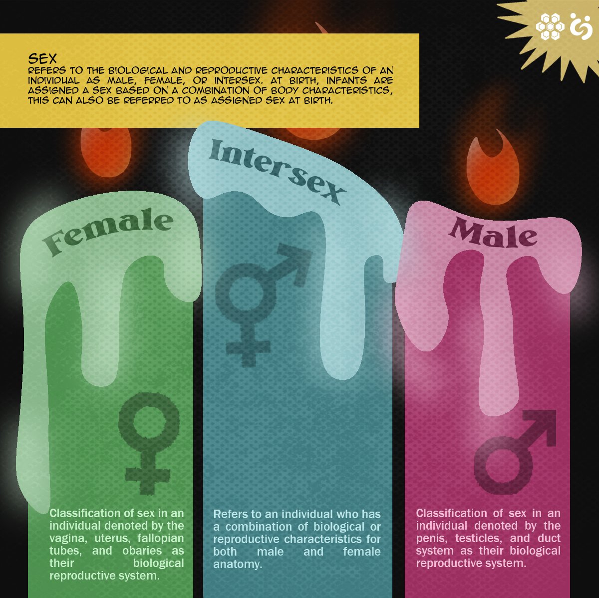 csbbenildehive's tweet photo. Sex characteristics are the last two abbreviated words in the SOGIESC. It touches on the biological traits, behavioral attributes, and hormonal level of an individual. https://t.co/IgNXSbmthC