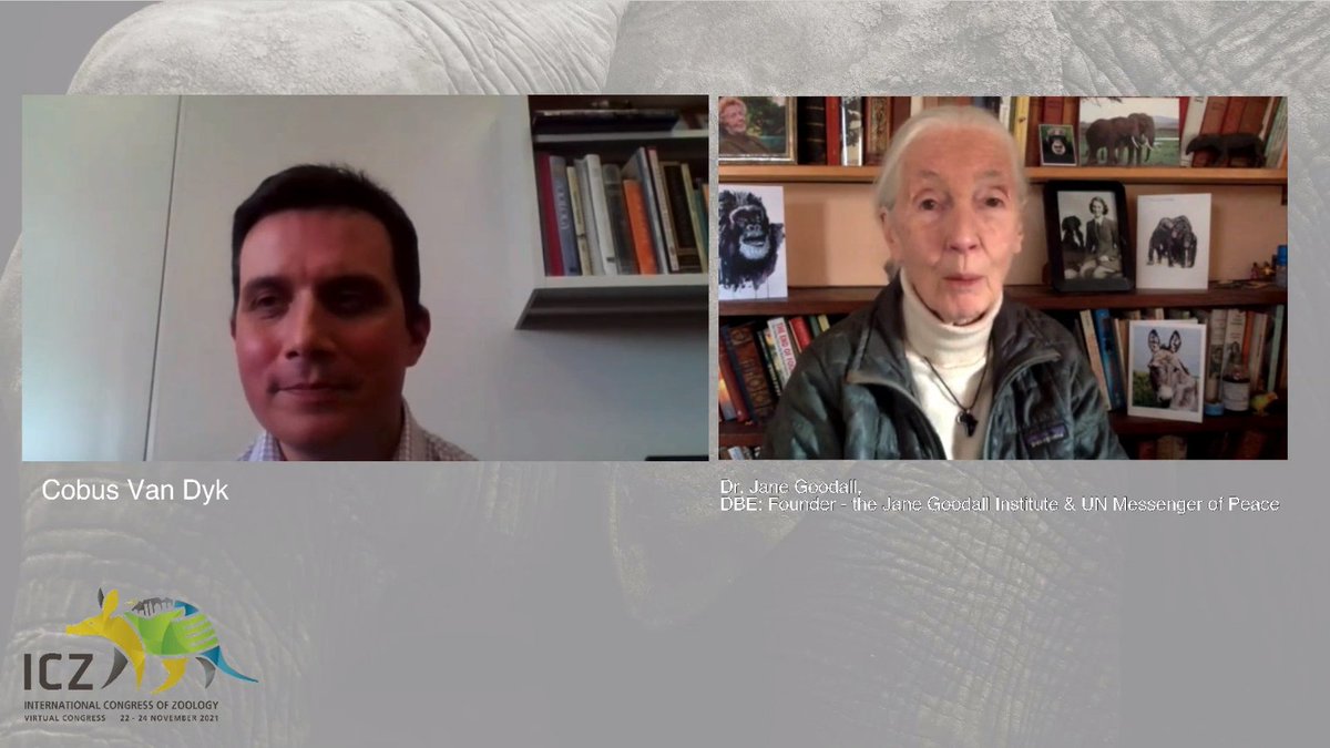 UJ Zoology tweet media