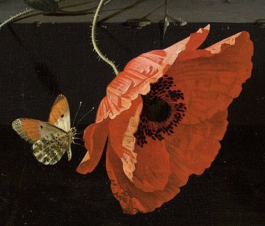 sophrisyne's tweet photo. painting details of butterflies https://t.co/5mlHuz31fk