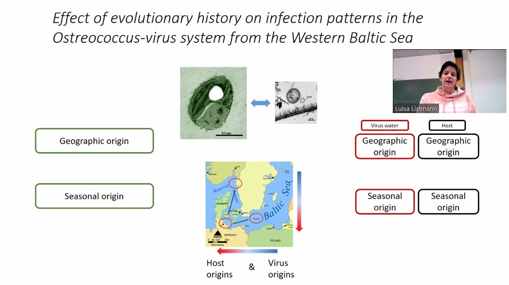 🧑‍🔬💬Today's speaker in our ongoing Friday Seminar series is our own <a href="/Luisa47311452/">Luisa Li</a>! She takes us on a journey to the world of the smallest of small life forms: viruses infecting picophytoplankton. Thanks Luisa!