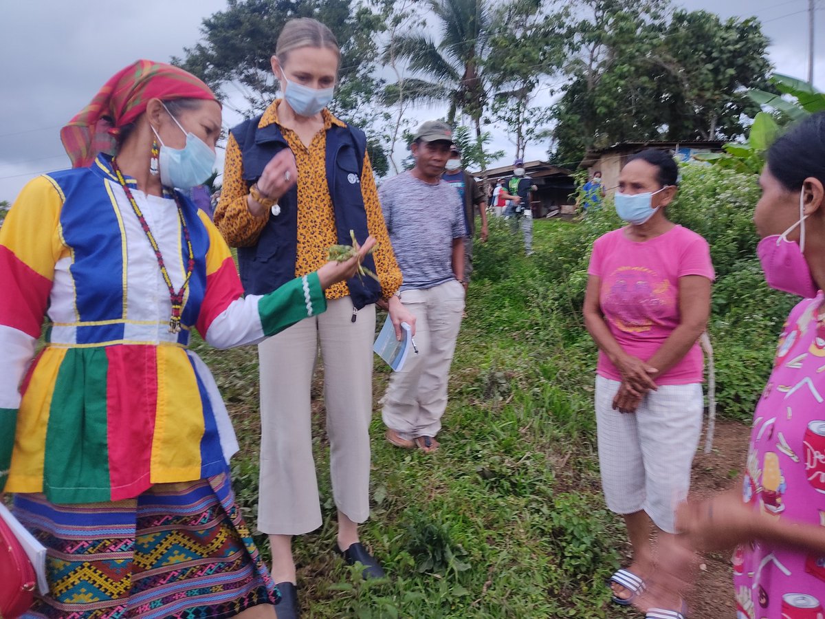 FAOPhilippines's tweet photo. LOOK! Heads of FAO🇵🇭, @WFP_Philippines &amp; @UNFPAph jointly visit Teduray IP community in Sta Fe, Looy, South Upi, Maguindanao on 1 Dec, common site of projects of the 3 agencies, to interact with beneficiaries &amp; learn from their experiences for possible future joint UN initiative. https://t.co/X8YQwP2cB5