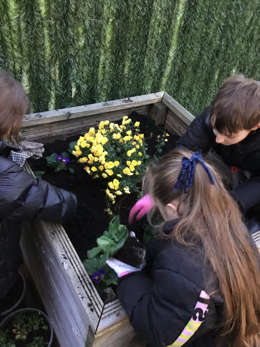 MissSweeney91's tweet photo. The eco-councillors have been busy looking after our school environment 🌸🌺🪴 #ourplanetourpriority @KeepBritainTidy @PinehurstP https://t.co/2ni8XkZ0p0
