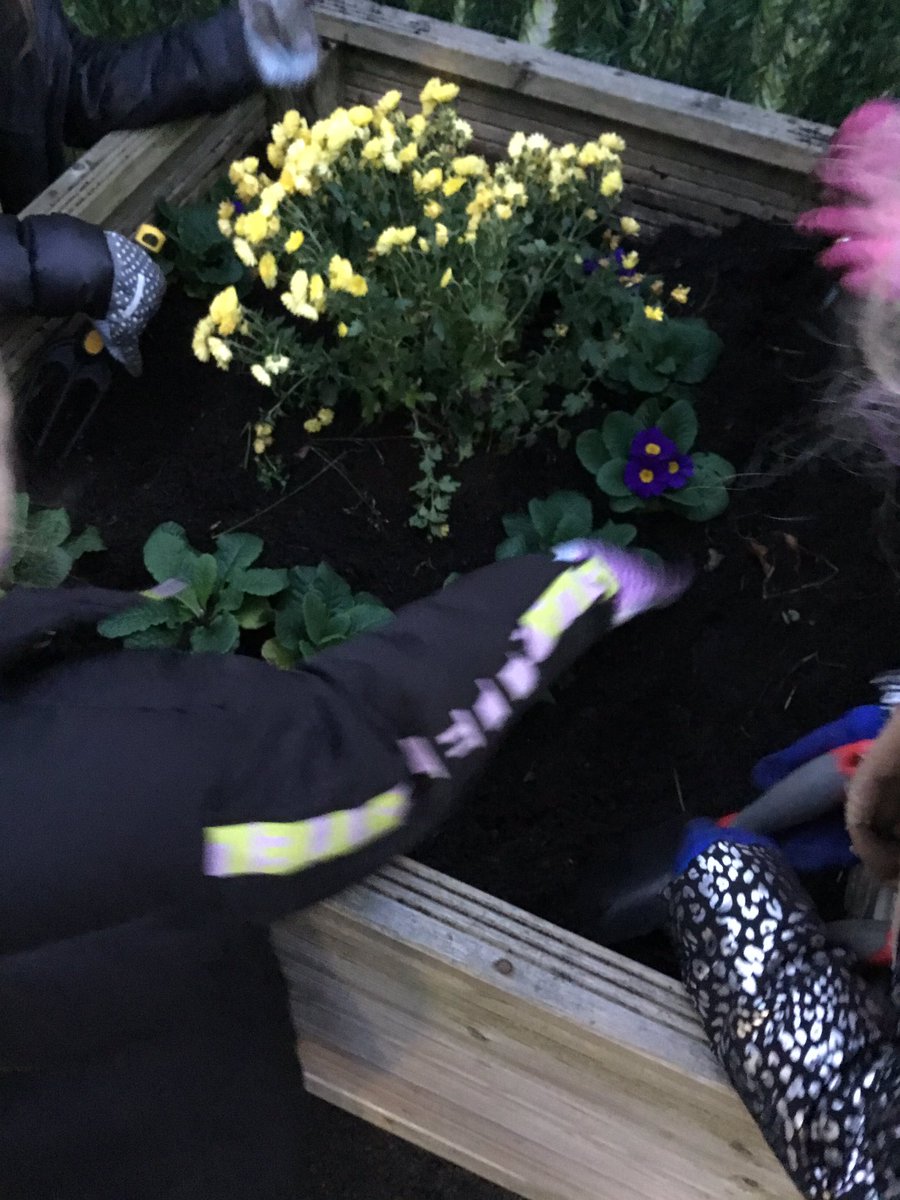MissSweeney91's tweet photo. The eco-councillors have been busy looking after our school environment 🌸🌺🪴 #ourplanetourpriority @KeepBritainTidy @PinehurstP https://t.co/2ni8XkZ0p0