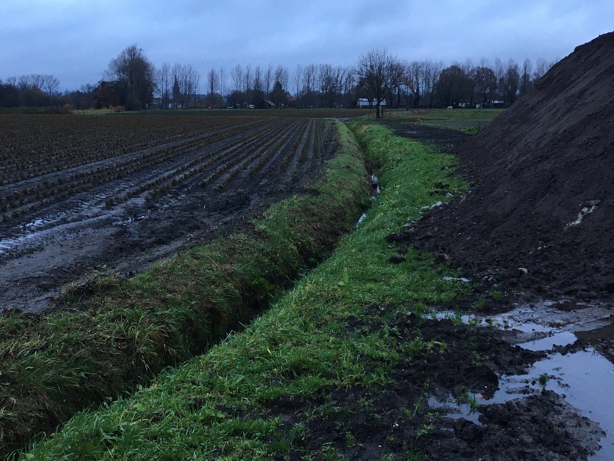 Toine Cooijmans tweet media