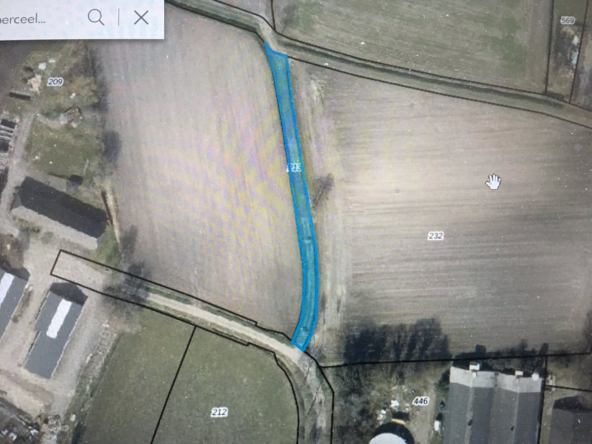 Toine Cooijmans tweet media